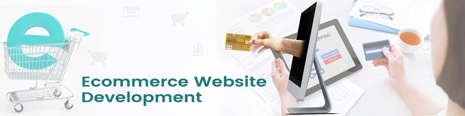 Ecommerce Website Development Delhi